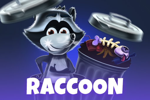 Raccoon